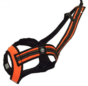 Harnais de traction FASTER Zero DC – neon orange+black