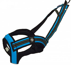 Harnais de traction FASTER Zero DC – turquoise+black