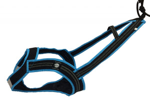 Harnais de traction FASTER Zero DC – black+turquoise