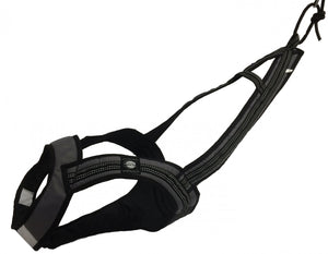Harnais de traction FASTER Zero DC – grey+black