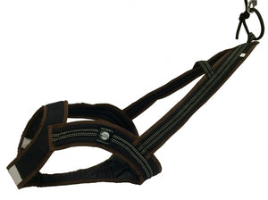Harnais de traction FASTER Zero DC – black+brown