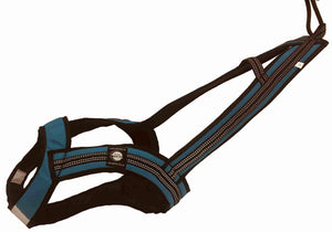 Harnais de traction FASTER Zero DC – petrol blue+black