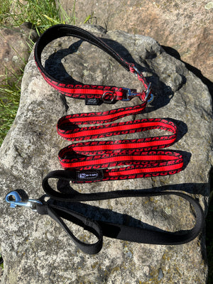 Laisse multifonction ANAPURNA Zero DC chiens jusqu'à 10 kg - red