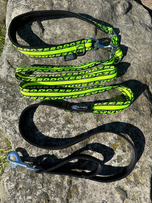 Laisse multifonction ANAPURNA Zero DC chiens jusqu'à 10 kg - neon green