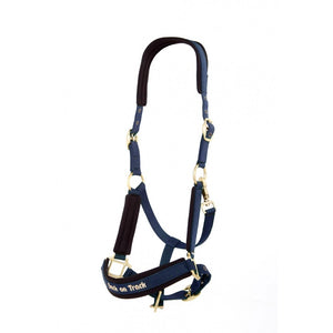 Back on Track – Licol Werano Back on Track Bleu | Sellerie Bucéphale