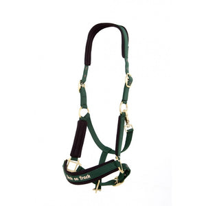 Back on Track – Licol Werano Vert  | Sellerie Bucéphale