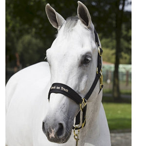 Licol Werano Back on Track Noir  | Sellerie Bucéphale