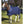 Chemise filet Back on Track Bleu  sur cheval pie | Sellerie Bucéphale