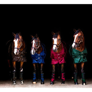 Back on Track – Stable boots Royal Back On Track Marron M  | Sellerie Bucéphale