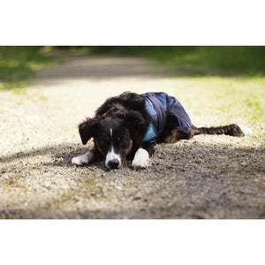 Back on Track – Manteau rafraichissant pour chien Cool on Track 40 cm   | Sellerie Bucéphale