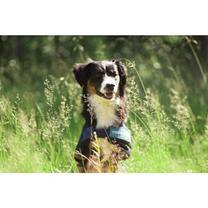 Back on Track – Manteau rafraichissant pour chien Cool on Track 50 cm   | Sellerie Bucéphale