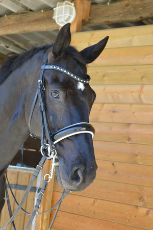 BR – Bride BR Wendover Noir Cheval  | Sellerie Bucéphale