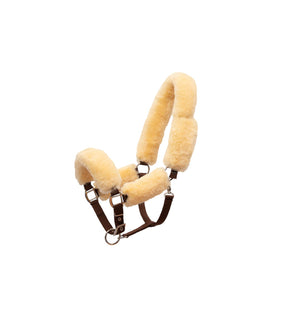 Mattès – Licol Mouton Mattès et longe assortie personnalisés L Noir Avec longe assortie | Sellerie Bucéphale