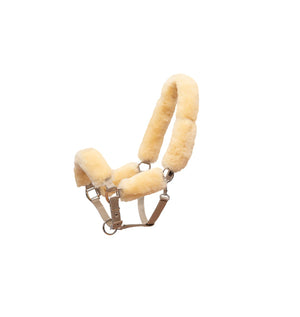 Mattès – Licol Mouton Mattès et longe assortie personnalisés L Gris Avec longe assortie | Sellerie Bucéphale