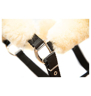 Mattès – Licol Mouton Mattès et longe assortie personnalisés M Bleu Sans longe | Sellerie Bucéphale