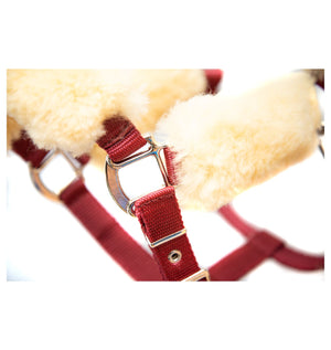 Mattès – Licol Mouton Mattès et longe assortie personnalisés M Marron Avec longe assortie | Sellerie Bucéphale