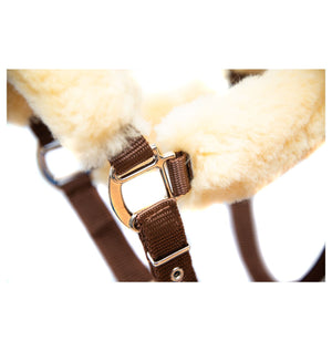 Mattès – Licol Mouton Mattès et longe assortie personnalisés L Bleu Sans longe | Sellerie Bucéphale