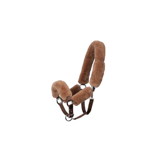 Mattès – Licol Mouton Mattès et longe assortie personnalisés L Sable Avec longe assortie | Sellerie Bucéphale