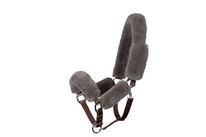 Mattès – Licol Mouton Mattès et longe assortie personnalisés L Sable Avec longe assortie | Sellerie Bucéphale