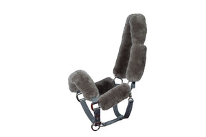 Mattès – Licol Mouton Mattès et longe assortie personnalisés L Sable Avec longe assortie | Sellerie Bucéphale
