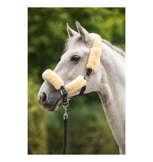 Mattès – Licol Mouton Mattès et longe assortie personnalisés M Sable Avec longe assortie | Sellerie Bucéphale