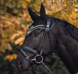 Back on Track – Bonnet Haze Collection Beige clair Cheval  | Sellerie Bucéphale