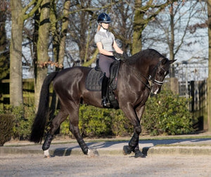 Le Mieux – Tapis de Dressage Carbon Mesh Noir | Sellerie Bucéphale