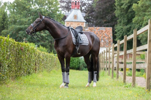 Le Mieux – Tapis de Dressage Carbon Mesh Gris | Sellerie Bucéphale