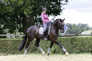 Le Mieux – Tapis de Dressage Carbon Mesh Gris sur cheval noir  | Sellerie Bucéphale