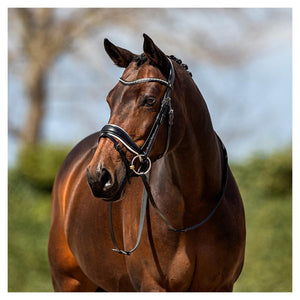 Bridon ANKY® Pullback Noseband