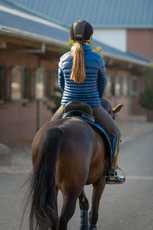 WHIS – Blouson matelassé WHIS Coach Bleu Marine XXL  | Sellerie Bucéphale