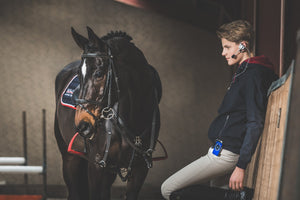 WHIS – Kit Whis Competition Système d'instruction Noir   | Sellerie Bucéphale