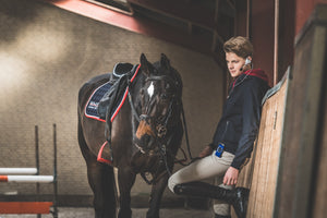 WHIS – Kit Whis Competition Système d'instruction Noir   | Sellerie Bucéphale