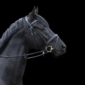  Mors Sprenger Dynamic RS Sensogan | Sellerie Bucéphale