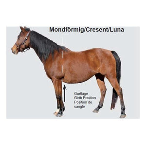 Mattès – Sangle courte forme demi-lune Slim-Line avec housse amovible Mattès 65cm   | Sellerie Bucéphale