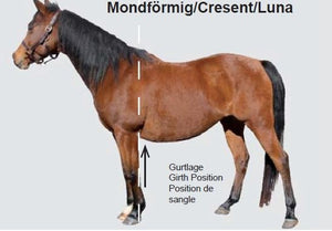 Mattès – Sangle courte forme demi-lune Tissu coton avec housse amovible Mattès 75cm   | Sellerie Bucéphale