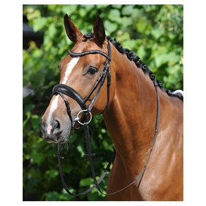 Passier – Bridon Passier Atlas Cheval Noir Argentée | Sellerie Bucéphale