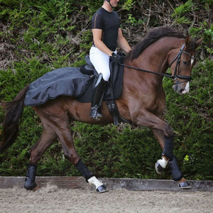 Back on Track – Couvre-reins court  Noir | Sellerie Bucéphale