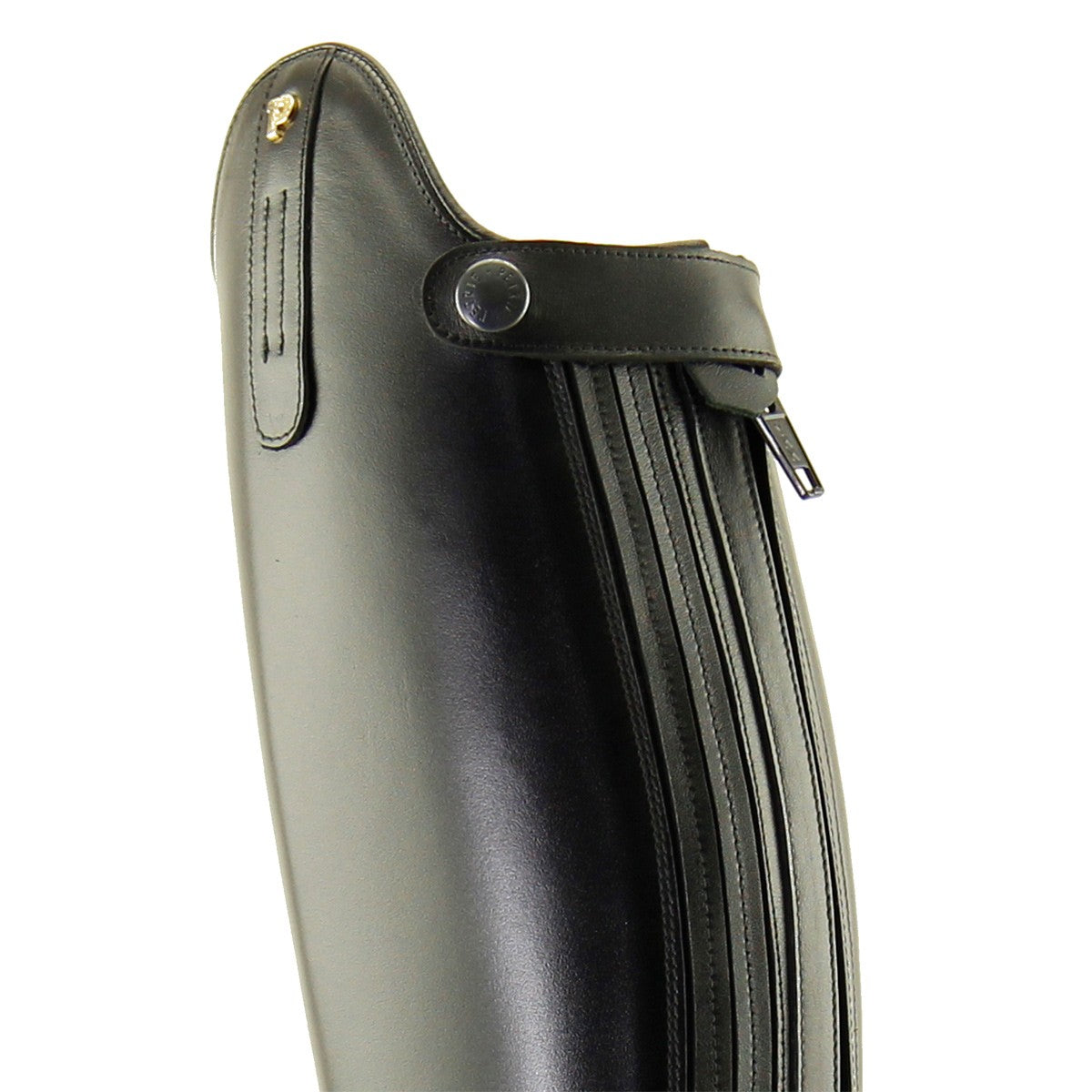 Bottes d'Équitation Petrie Padova – Élégance pour le Dressage | Sellerie Bucéphale Bottes d'Équitation Petrie Padova – Élégance pour le Dressage | Sellerie Bucéphale
