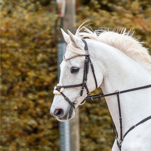 Sprenger – Filet 2 anneaux canons fins Sprenger KK Ultra Sensogan 145 14 mm 70 mm | Sellerie Bucéphale