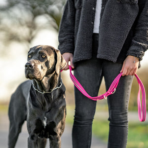 Sprenger – Laisse caoutchoutée réglable coloris Rose sur chien noir  | Sellerie Bucéphale