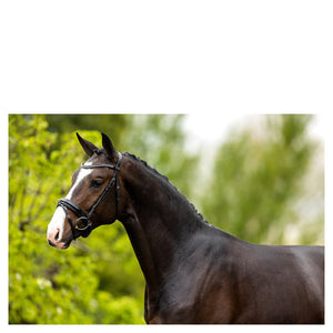 BR – Bridon BR Eston Noir-blanc Pur-Sang (Cob)  | Sellerie Bucéphale