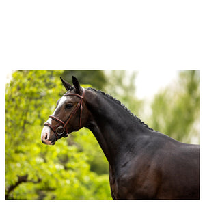 BR – Bridon BR Bath oak (brun) Pur-Sang (Cob)  | Sellerie Bucéphale