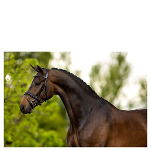 BR – Bridon BR Luton Noir Pur-Sang (Cob)  | Sellerie Bucéphale