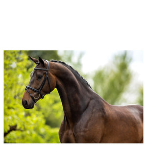 BR – Bridon BR Kendal Brun Pur-Sang (Cob)  | Sellerie Bucéphale