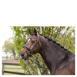 Anky – Bridon Anky anatomical Shaped noseband Noir-blanc Pur-Sang (Cob)  | Sellerie Bucéphale