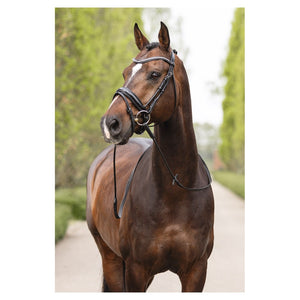 Anky – Bridon Anky anatomical Shaped noseband Noir-blanc Pur-Sang (Cob)  | Sellerie Bucéphale