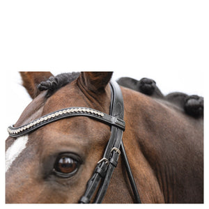 Anky – Bridon Anky anatomical Shaped noseband Noir-blanc Pur-Sang (Cob)  | Sellerie Bucéphale