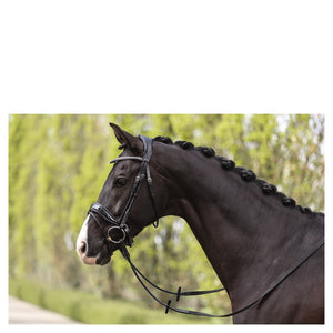 Anky – Bridon Anky Comfort Fit Double Anatomical Noir Cheval  | Sellerie Bucéphale