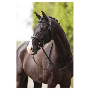 Anky – Bridon combiné Anky Shaped Noir Cheval  | Sellerie Bucéphale